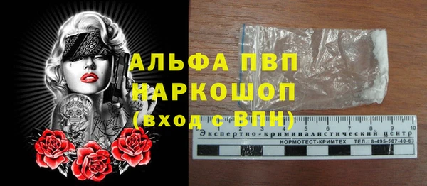apvp Магас