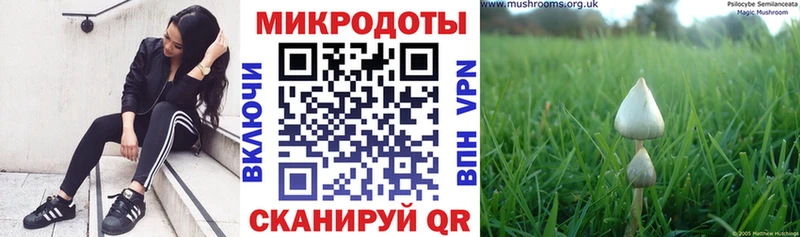 Псилоцибиновые грибы MAGIC MUSHROOMS  купить наркоту  Стерлитамак 